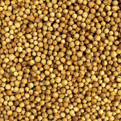 1565419979-img-1-coriander-seeds-500x500